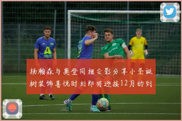 杨瀚森与奥登同框合影分享小圣诞树装饰喜悦时刻即将迎接12月的到来